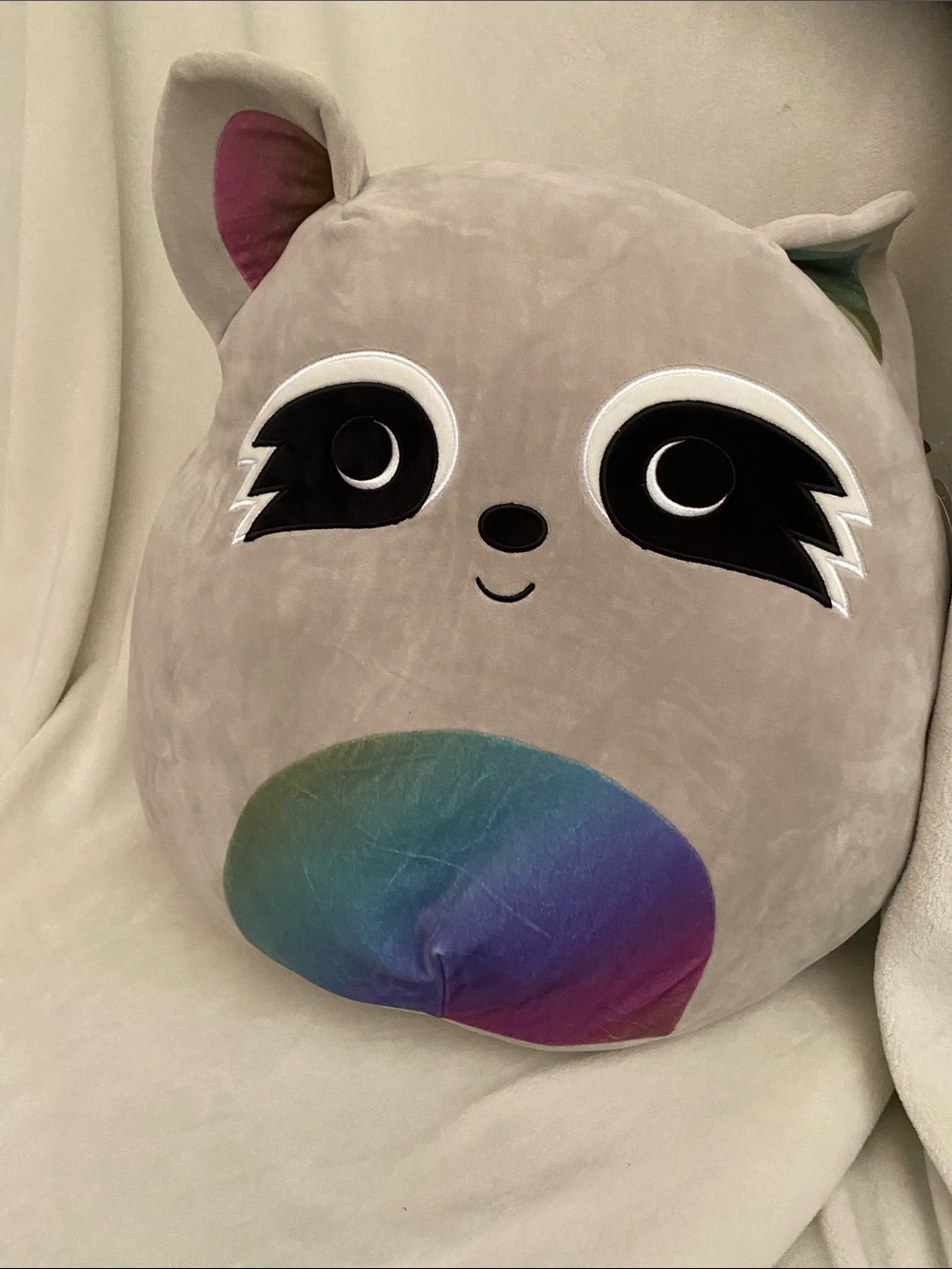 22”-max-raccoon